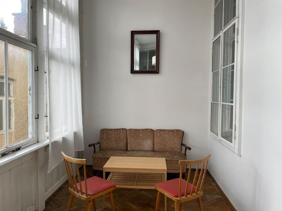 Geraeumige Altbauwohnung Im Zentrum Грац Екстер'єр фото