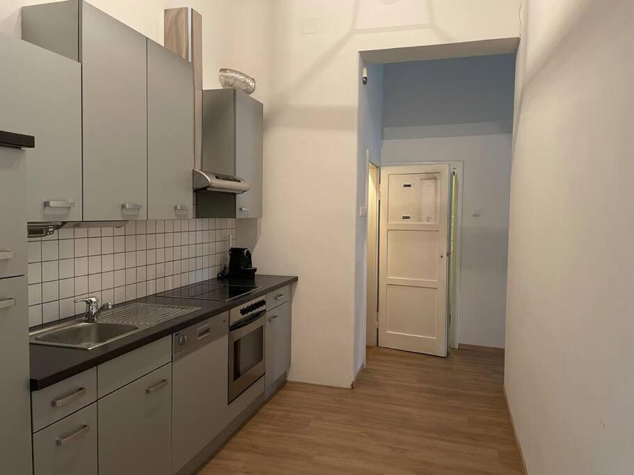 Geraeumige Altbauwohnung Im Zentrum Грац Екстер'єр фото