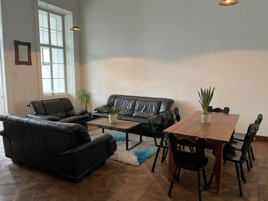Geraeumige Altbauwohnung Im Zentrum Грац Екстер'єр фото